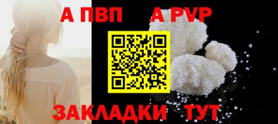 крисы Кулебаки