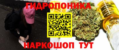 крисы Кулебаки
