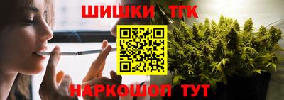 крисы Кулебаки