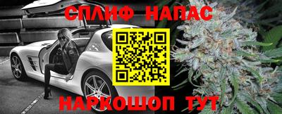крисы Кулебаки