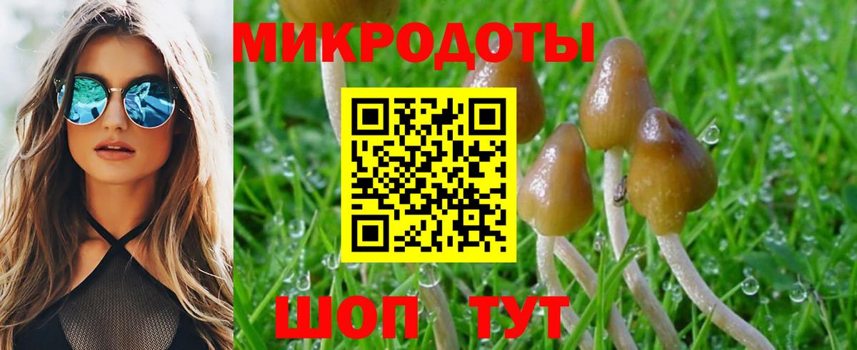 Галлюциногенные грибы Magic Shrooms Кисловодск